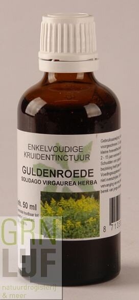 Cruydhof Solidago virgaurea / guldenroede