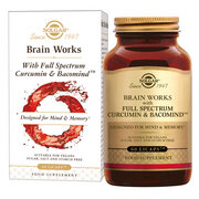 Solgar BrainWorks