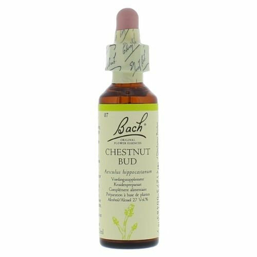 Bach Bloesem Chestnut bud / Kastanjeknop - nummer 7 - 20ml