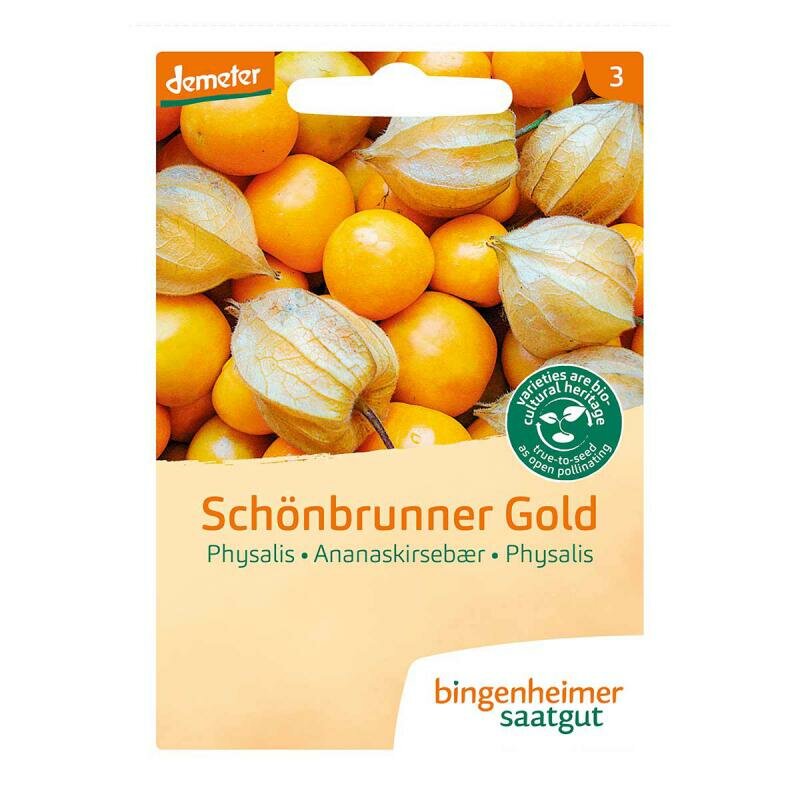 Bingenheimer Saatgut - Physalis Schonbrunner Gol