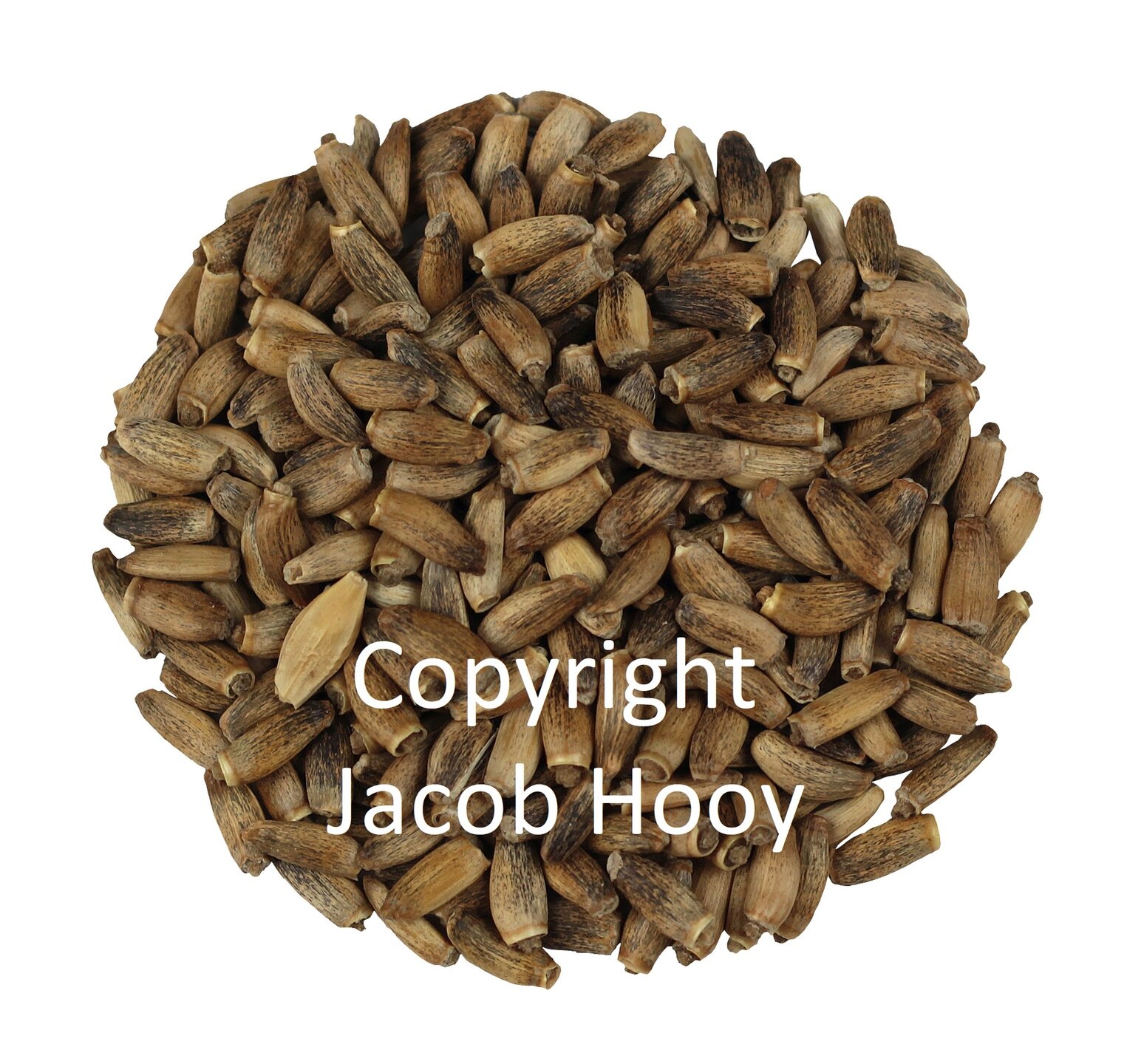 Mariadistelzaad heel - 250 gram - Jacob Hooy