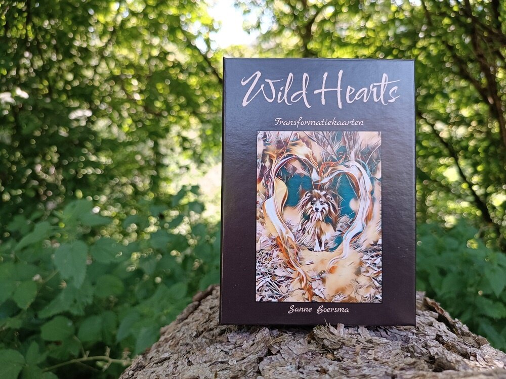Wild Hearts - Transformatiekaarten - Sanne Boersma