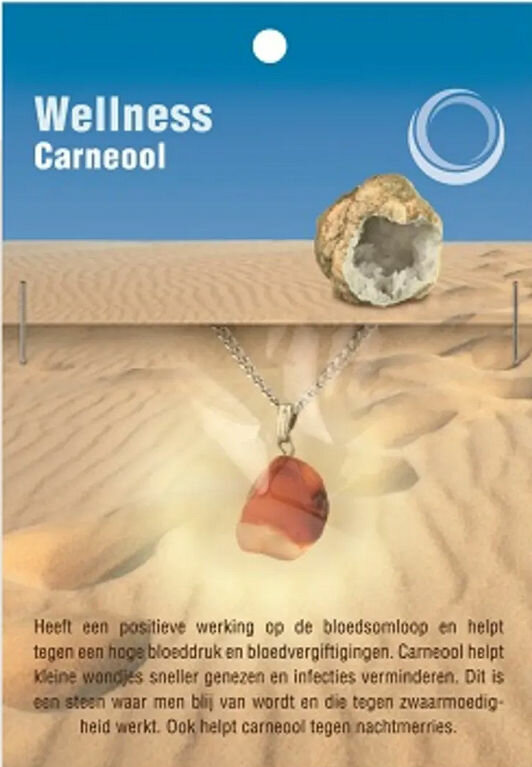 Direct draagbare carneoolhanger met RVS ketting en informatief displaykaartje