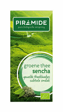 Piramide Groene Thee Sencha