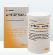 Cerebrum Compositum 