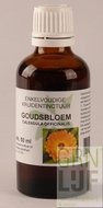 Cruydhof Calendula officinalis  / goudsbloem