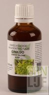 Cruydhof Ginkgo biloba / Japanse tempelboom