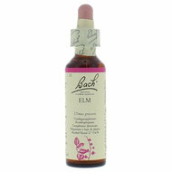 Bach Elm / Iep -nummer 11 - 20ml