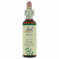 Bach Holly / Hulst - nummer 15 - 20ml