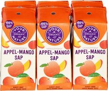 Your Organic Nature - Appel mango sap - 6-pack