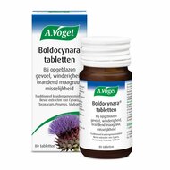 Boldocynara - 80 tabletten - A. Vogel