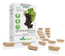 Ribes Nigrum - 30 capsules - SoriaBel