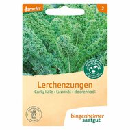 Bingenheimer Saatgut - Boerenkool Lerchenzungen