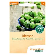 Bingenheimer Saatgut - Spruitkool Idemar Zaden