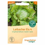 Bingenheimer Saatgut - Ijssla Laibacher Eis Zaden