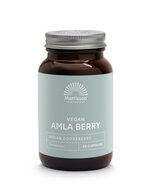 Biologische Amla Berry Extract 500mg - 60caps - Mattisson