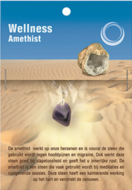 Paarse natuursteen met ketting, direct klaar om te dragen