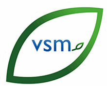 VSM Arnica montana C30