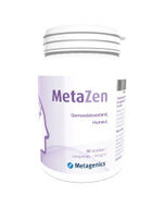 metazen