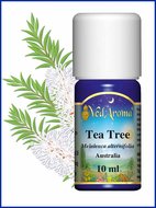 Biologische Tea Tree&nbsp;etherische olie