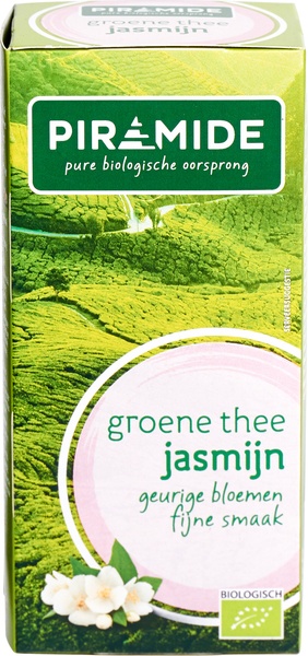 Piramide Groene Thee Jasmijn 
