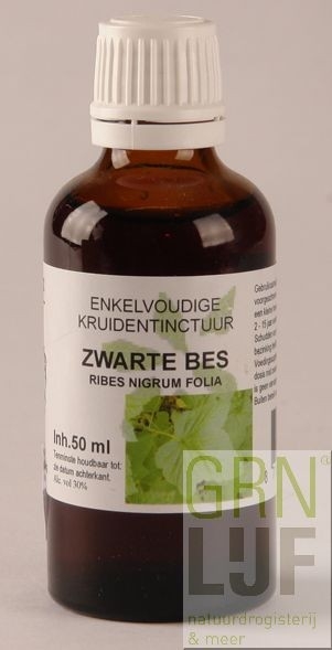 Cruydhof Ribes nigrum / Zwarte bes