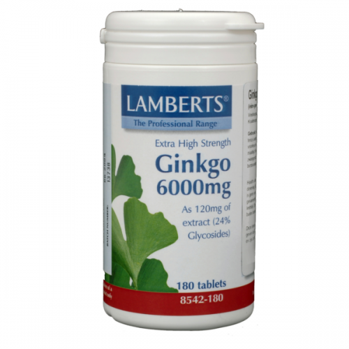 Lamberts Ginkgo 180 Tabletten