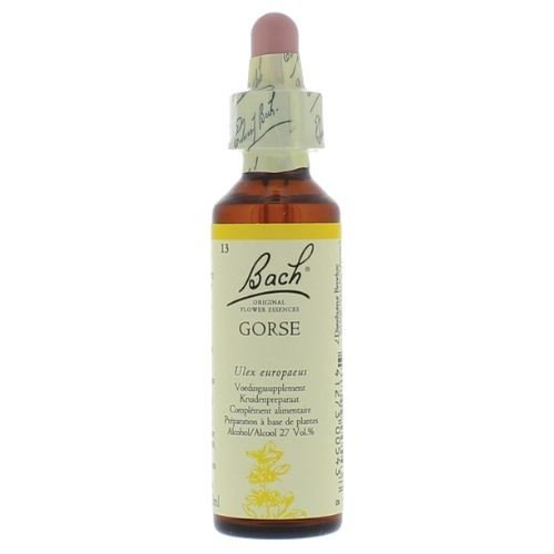 Bach Gorse / Gaspeldoorn - nummer 13 - 20ml