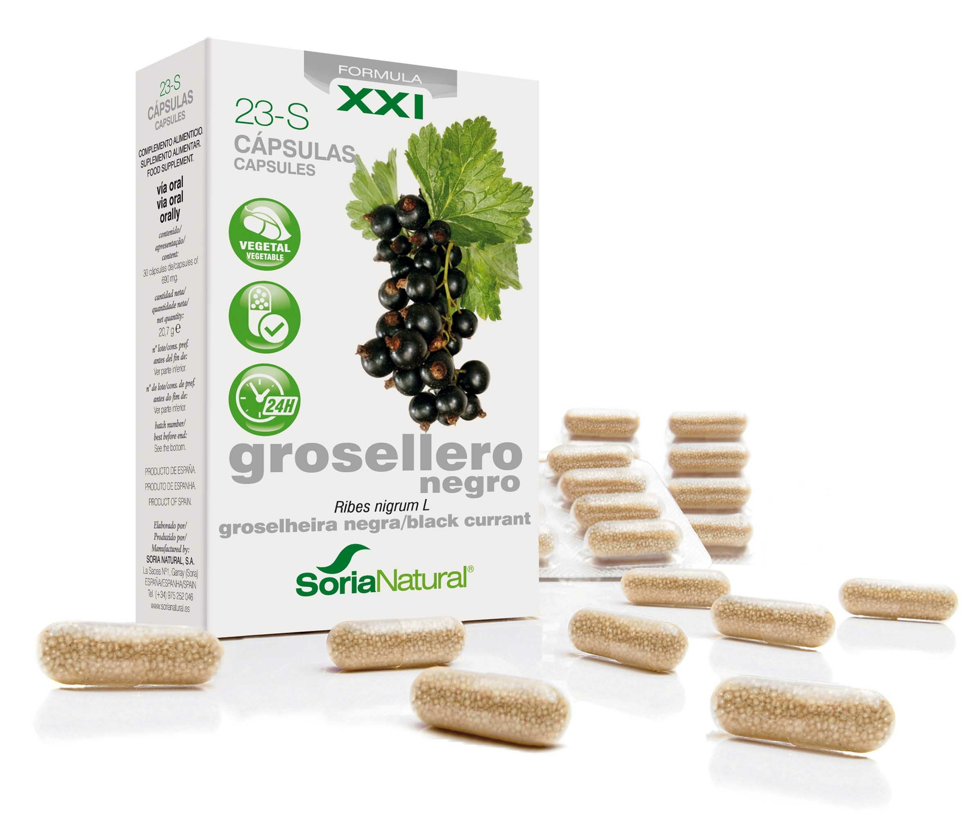 Ribes Nigrum - 30 capsules - SoriaBel