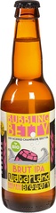Waterland Brewery - Bubbling Betty - 330ml