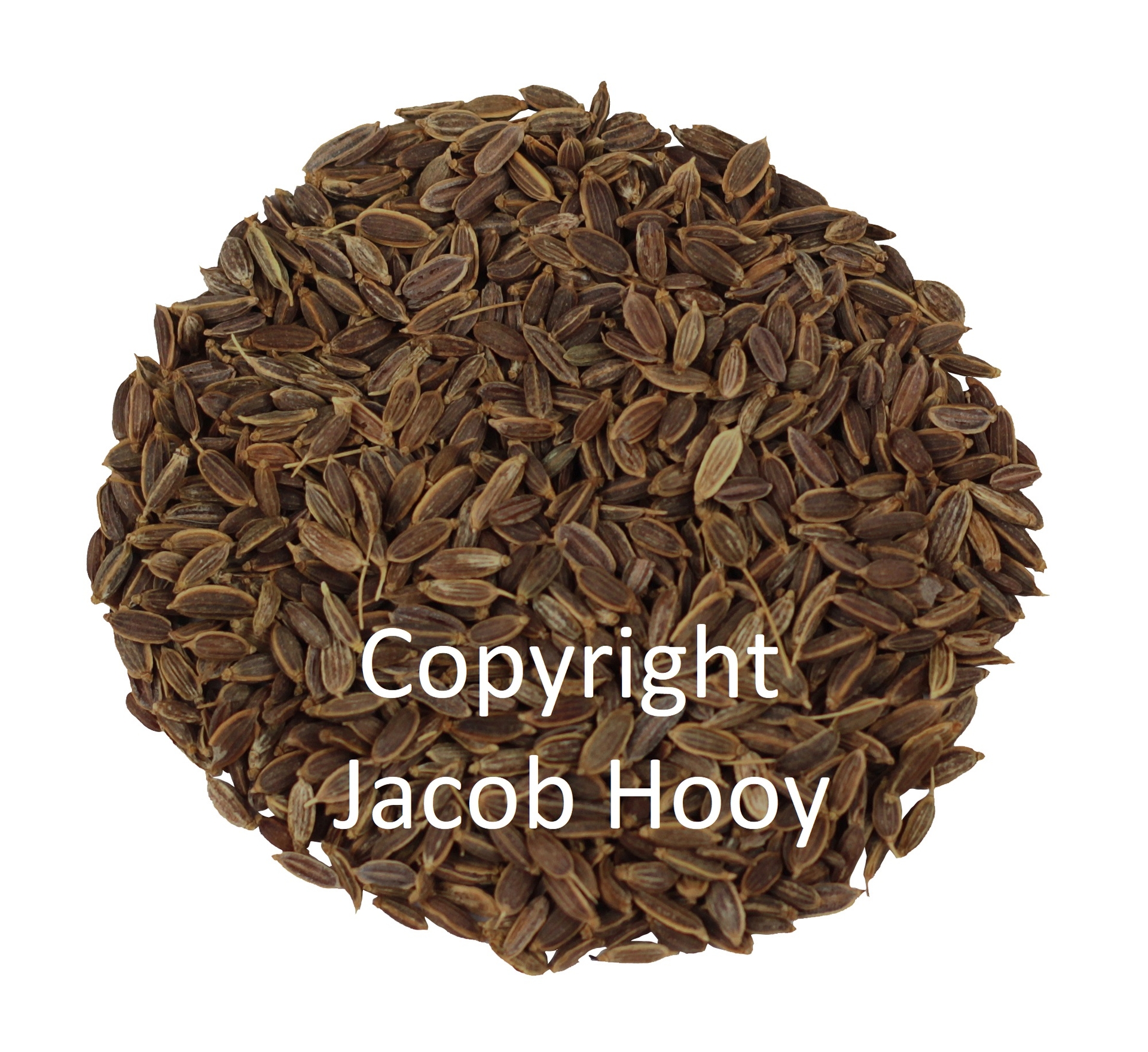 Dillezaad heel - 250 gram - Jacob Hooy