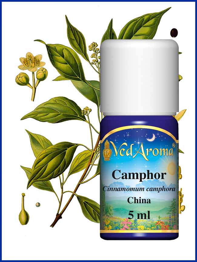 Kamfer / Camphor etherische olie