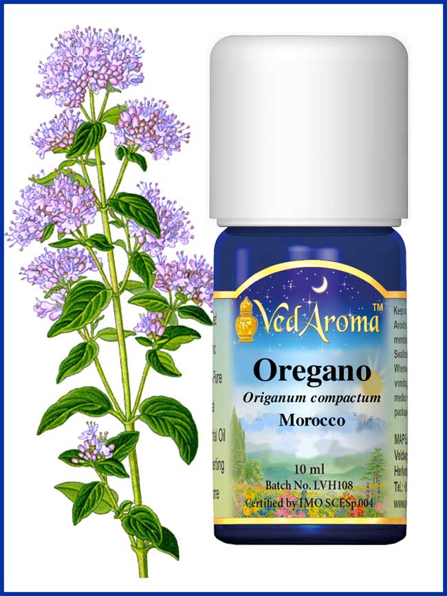 biologische oregano olie