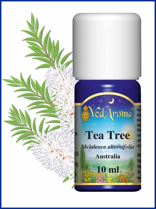 Biologische Tea Tree etherische olie