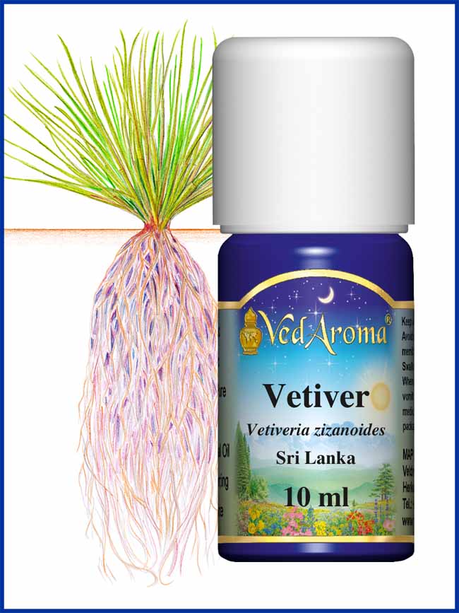 Biologische Vetiver etherische olie