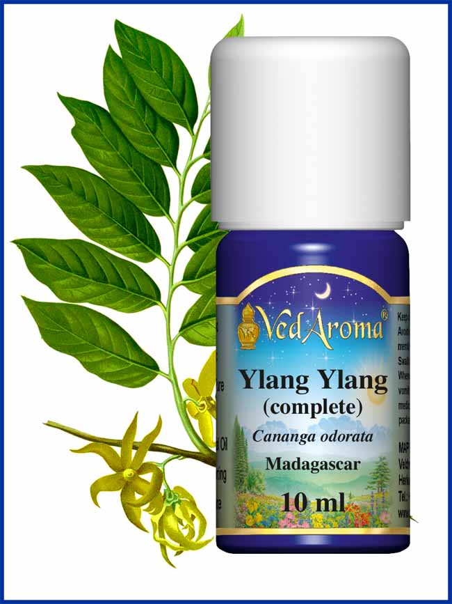 Biologische Ylang Ylang complete etherische olie VedAroma