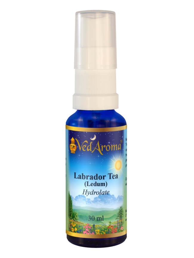 Labrador Tea hydrolaat
