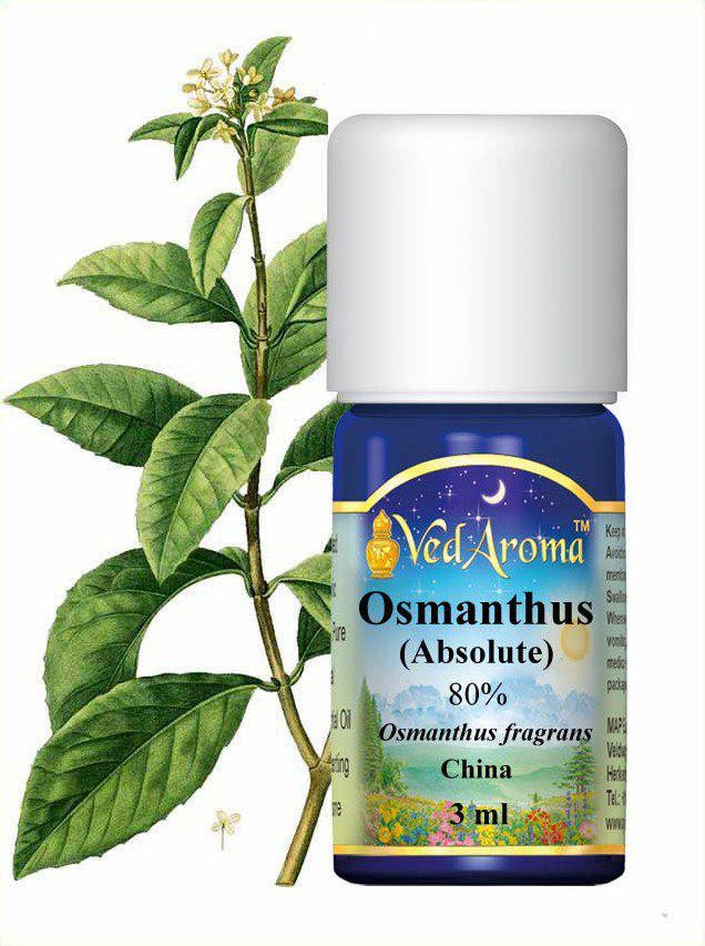 Osmanthus etherische olie 