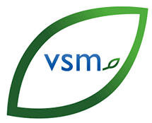 VSM