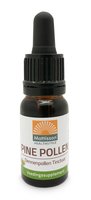 Dennenpollen Tinctuur 10ml  - Mattisson