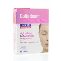 Lamberts Colladeen DermaPlus 60 Tabletten