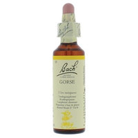 Bach Gorse / Gaspeldoorn - nummer 13 - 20ml