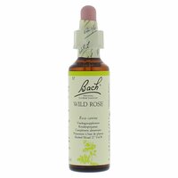 Bach Wild Rose / Hondsroos - nummer 37 - 20ml
