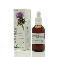 Silybum Marianum / Mariadistel Glycerine Extract - 50ml - SoriaBel