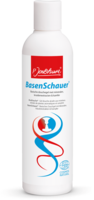 Jentschura - BasenSchauer - 250ml