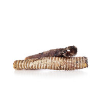 DARF – Runderluchtpijp - 2 stuks