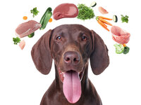 DARF BIO Groente Mix - 1 kilo