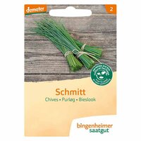 Bingenheimer Saatgut - Bieslook Schmitt