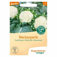 Bingenheimer Saatgut - Bloemkool Neckarperle