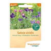 Bingenheimer Saatgut - Bonte Salie 